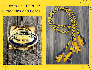 PTE Pin and Cord